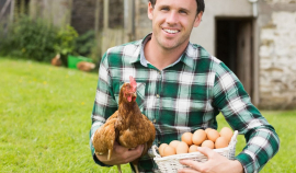 Минсельхоз планирует распространить льготное кредитование на производителей яиц